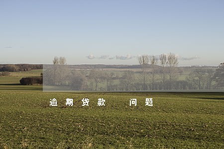 逾期贷款 问题